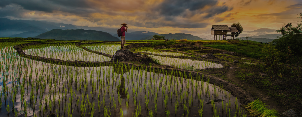 World Nomads 2024 Content Creator Scholarship: Winner Announcement