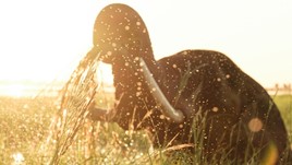An elephant swimming in water