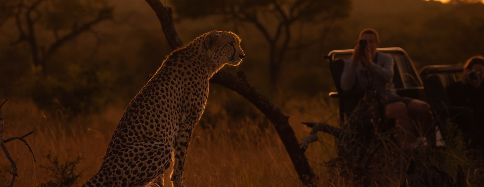 The Stories to be Told