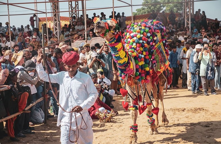 India Travel Safety: How to Stay Healthy & Travel Smart