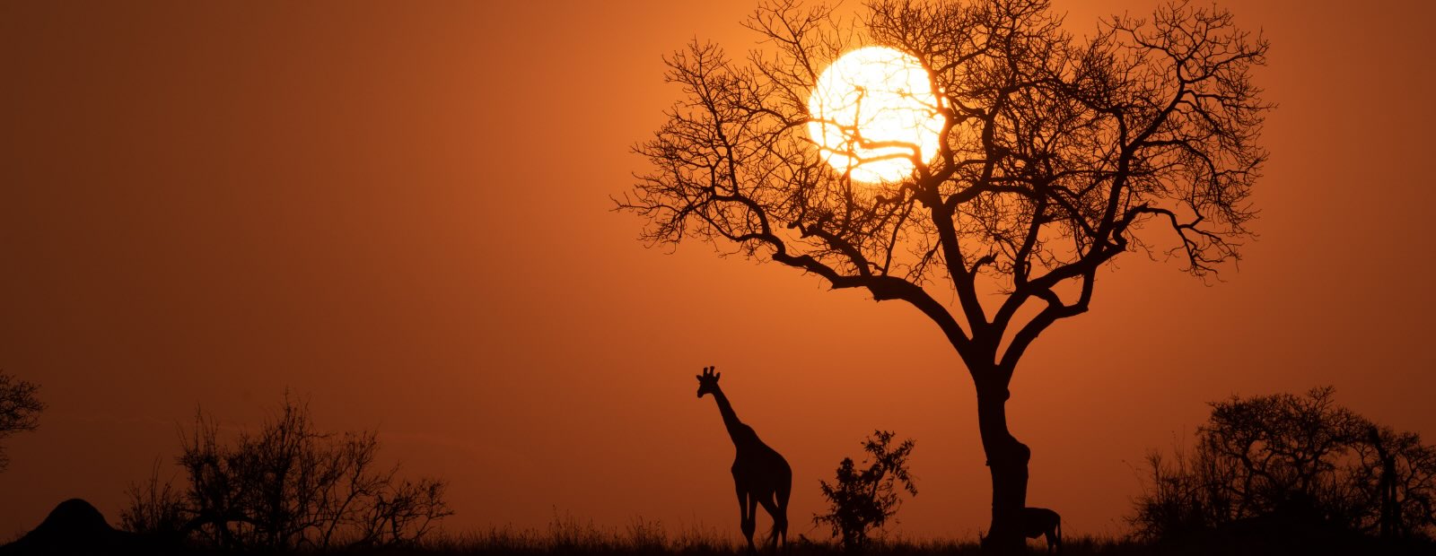 Travel Scholarship: Photo & Film 2024: Winner Announcement